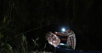 Lần theo dấu “thần rừng” giữa cánh rừng U Minh Hạ