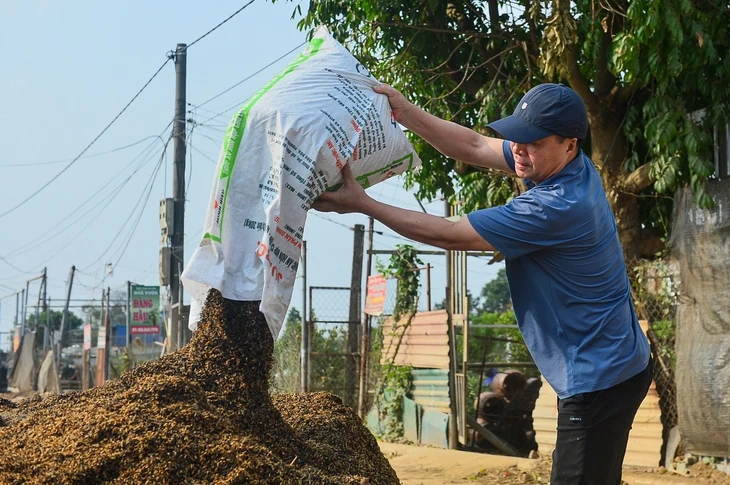 Làng đào Nhật Tân, quất Tứ Liên tất bật vào vụ mới Làng đào Nhật Tân, quất Tứ Liên tất bật vào vụ mới