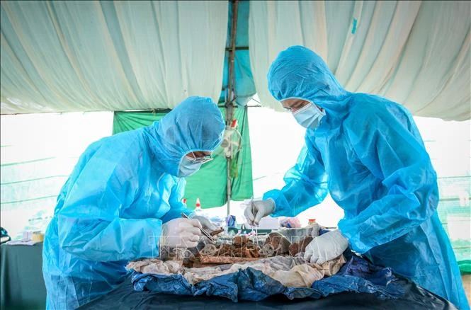 Lặng thầm viết tiếp hành trình trở về của các liệt sĩ Lặng thầm viết tiếp hành trình trở về của các liệt sĩ