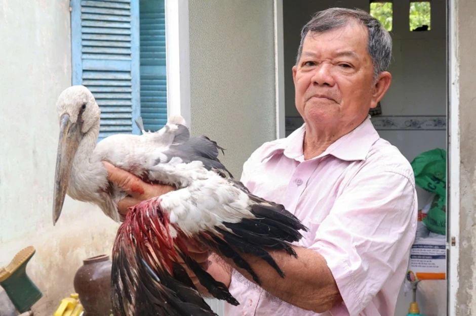 Lão nông giữ vườn chim quý ở miền Tây cầu cứu Lão nông giữ vườn chim quý ở miền Tây cầu cứu