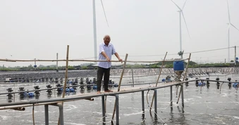 Lão nông trở thành tỷ phú sau quyết định bỏ lúa, nuôi tôm