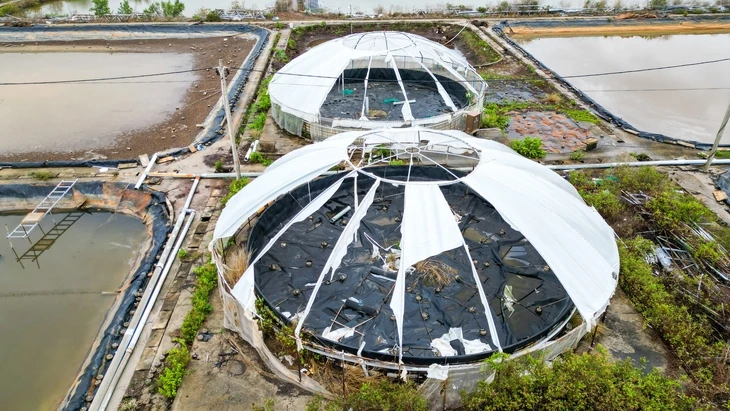 Lập ban chỉ đạo tháo gỡ khó khăn cho các dự án kéo dài ở Cà Mau Lập ban chỉ đạo tháo gỡ khó khăn cho các dự án kéo dài ở Cà Mau