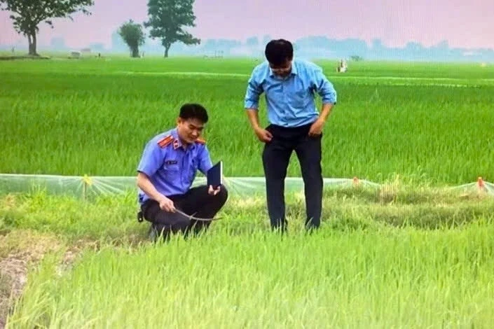 Liên tiếp các vụ điện giật tử vong do bẫy chuột bằng điện, kích cá Liên tiếp các vụ điện giật tử vong do bẫy chuột bằng điện, kích cá
