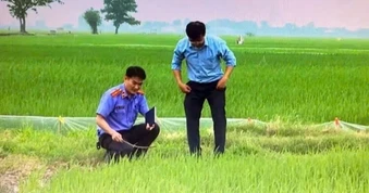 Liên tiếp các vụ điện giật tử vong do bẫy chuột bằng điện, kích cá