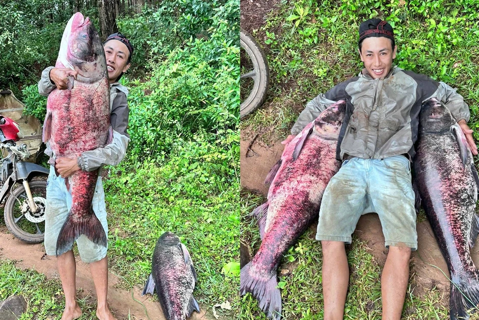 Liên tục bắt được “thủy quái” ở Biển Hồ, có con nặng hơn 30kg Liên tục bắt được “thủy quái” ở Biển Hồ, có con nặng hơn 30kg