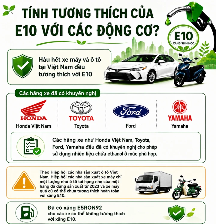 Loại xe nào cần lưu ý khi dùng xăng E10? Loại xe nào cần lưu ý khi dùng xăng E10?