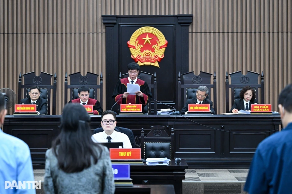 Luật sư công hành nghề trong phạm vi nào, hưởng chế độ quyền lợi ra sao?