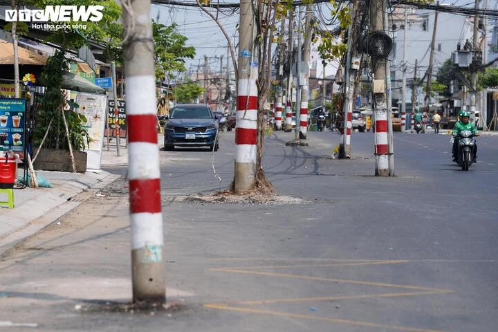 Lý do chậm di dời cột điện TP . HCM giữa dự án đường nghìn tỷ Nguyễn Thị định