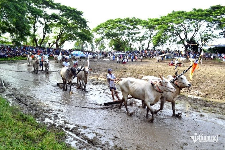 Mạch nguồn đại đoàn kết từ 'pháo đài' Tà Miệt đã vun đắp khát vọng phát triển