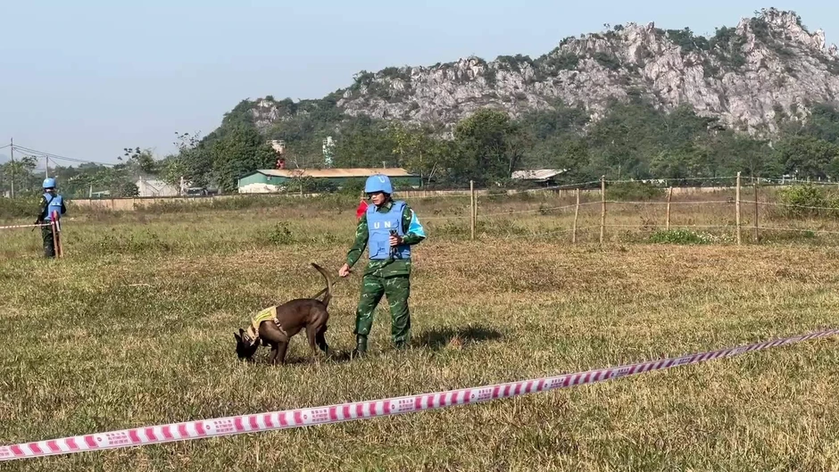 Một năm học thành 'chiến binh' của chú chó lài sông Mã Một năm học thành 'chiến binh' của chú chó lài sông Mã