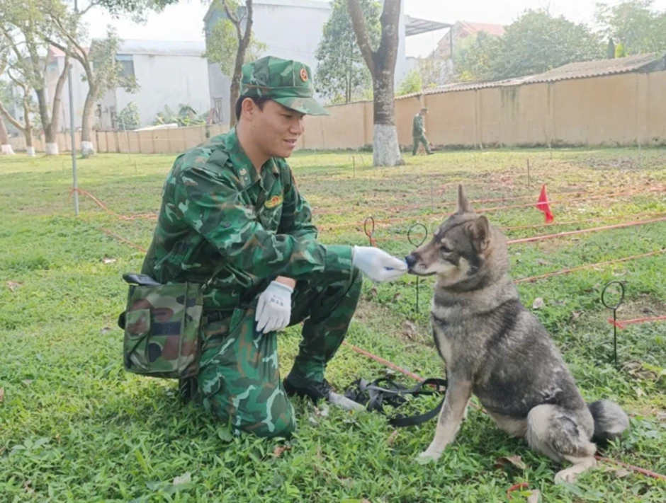 Một năm học thành 'chiến binh' của chú chó lài sông Mã Một năm học thành 'chiến binh' của chú chó lài sông Mã