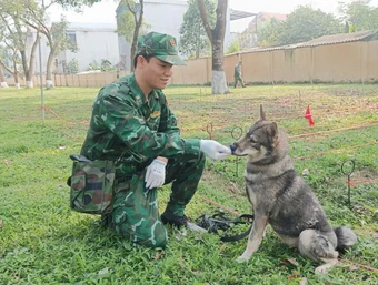 Một năm học thành 'chiến binh' của chú chó lài sông Mã