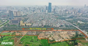Một năm xử lý gần 9.000 vi phạm, phát lộ nhiều lỗ hổng quản lý đất đai