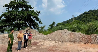 Một tổng giám đốc ở Quảng Ninh bị khởi tố