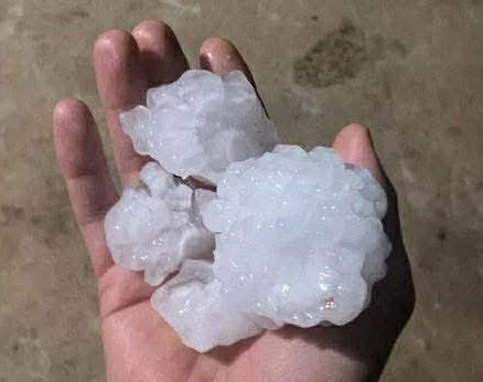 Mưa đá Bắc Hà gây thiệt hại lớn cho người dân Vào rạng sáng 16 - 4 - 2026 Mưa đá Bắc Hà gây thiệt hại lớn cho người dân Vào rạng sáng 16 - 4 - 2026