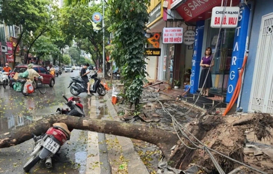 Mưa giông khiến cây đổ đè người ở Hà Nội, Lào Cai