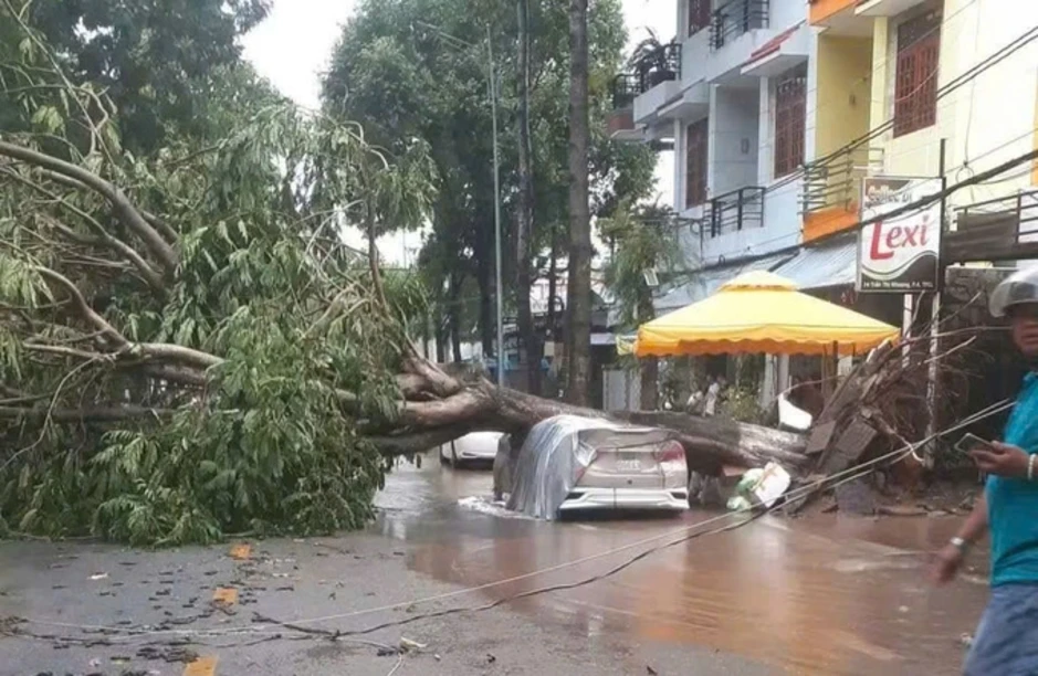 Mưa giông quật đổ hàng chục cây xanh, đè hai ôtô Mưa giông quật đổ hàng chục cây xanh, đè hai ôtô