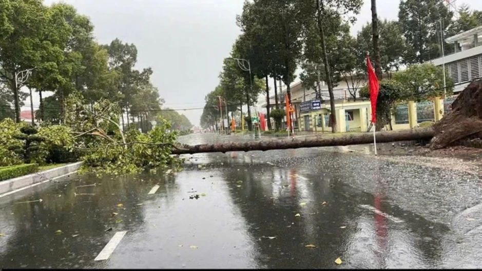 Mưa giông quật đổ hàng chục cây xanh, đè hai ôtô Mưa giông quật đổ hàng chục cây xanh, đè hai ôtô