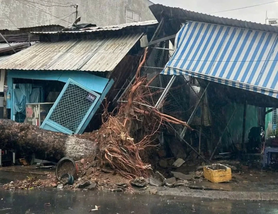 Mưa giông quật đổ hàng chục cây xanh, đè hai ôtô Mưa giông quật đổ hàng chục cây xanh, đè hai ôtô