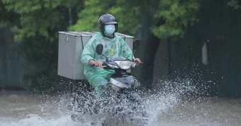 Mưa lớn miền Bắc 2026 và Nguy cơ lũ quét tại các sông suối
