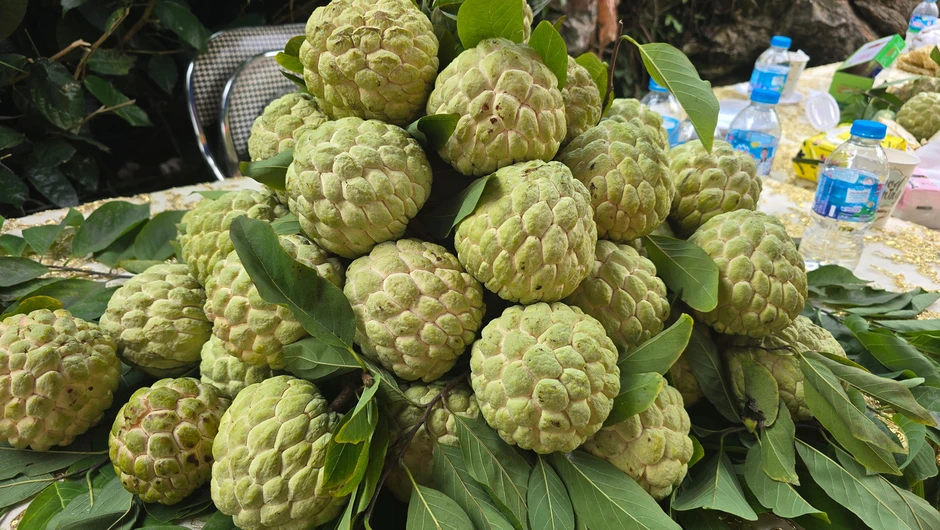 Na '3 sao' Thái Nguyên
