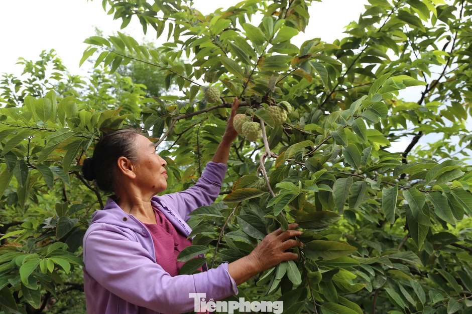 Na '3 sao' Thái Nguyên