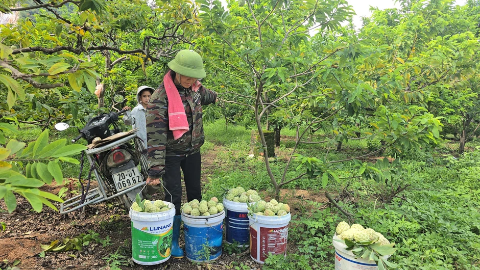 Na '3 sao' Thái Nguyên
