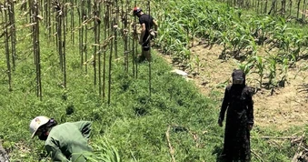 Nam thanh niên gặp tai nạn, gia đình tá hỏa tìm 3 dây chuyền và 2 lắc vàng