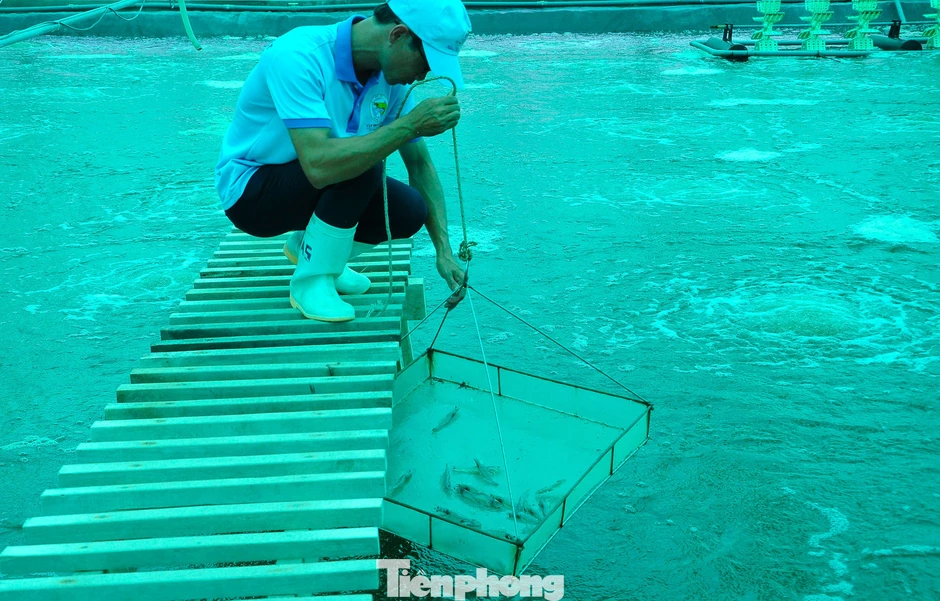Ngành xuất khẩu hàng tỷ USD trước áp lực môi trường, biến đổi khí hậu Ngành xuất khẩu hàng tỷ USD trước áp lực môi trường, biến đổi khí hậu