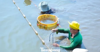 Ngành xuất khẩu hàng tỷ USD trước áp lực môi trường, biến đổi khí hậu