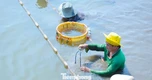 Ngành xuất khẩu hàng tỷ USD trước áp lực môi trường, biến đổi khí hậu