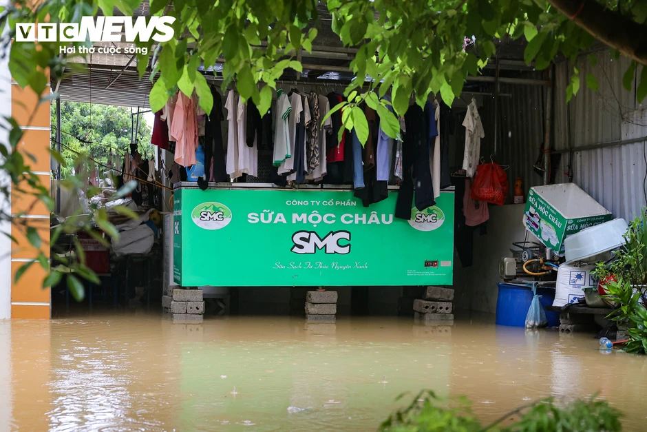 Ngập lụt Hà Nội 2026: Người dân ngọai thành chèo thuyền giữa vùng nước lũ Ngập lụt Hà Nội 2026: Người dân ngọai thành chèo thuyền giữa vùng nước lũ