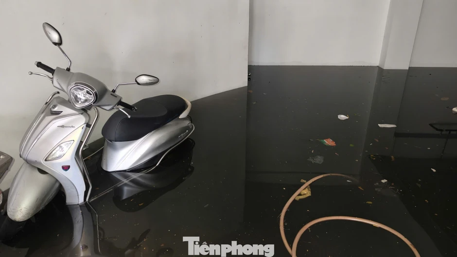 Ngập nước TPHCM: Tầng hầm biệt thự và ngân hàng tại Cityland Park Hills chịu thiệt hại nặng
