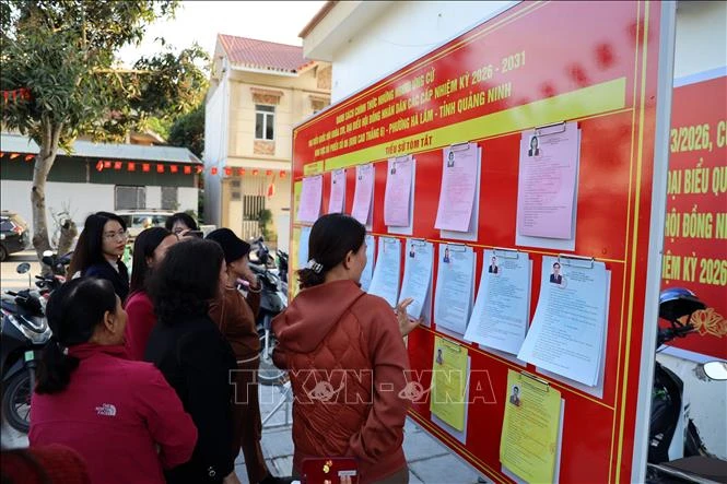 Ngày 15/3/2026 - Ngày hội non sông Ngày 15/3/2026 - Ngày hội non sông