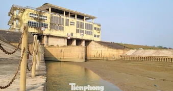 Nghệ An: Hàng loạt trạm bơm thủy lợi 'khát nước'