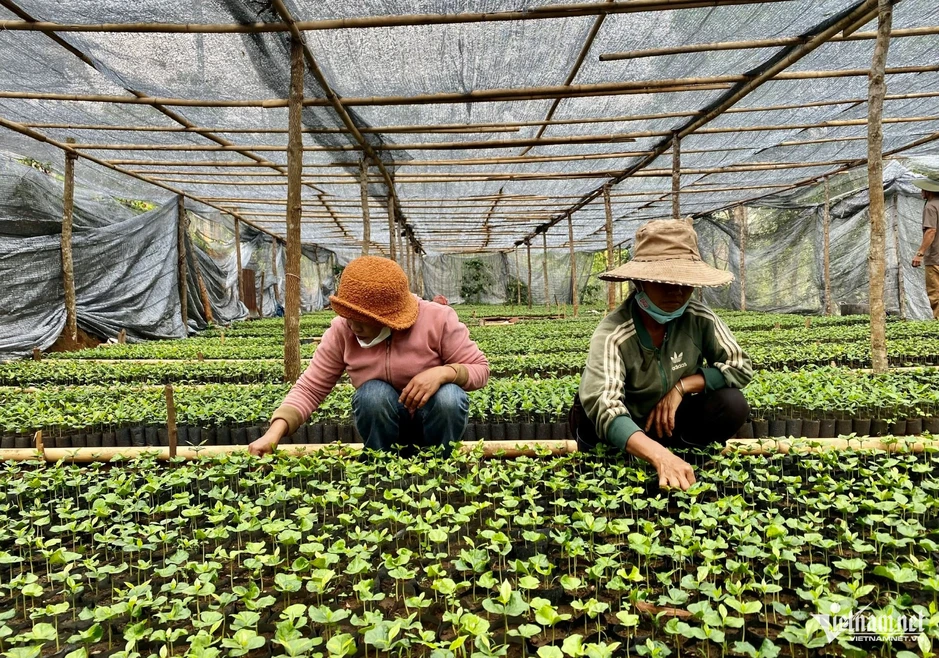 Ngồi với dân giữa đêm, Bí thư xã gỡ từng chuyện nóng ở cơ sở