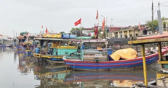 Ngư dân đưa tàu thuyền vào khu neo đậu tránh trú bão Maysak