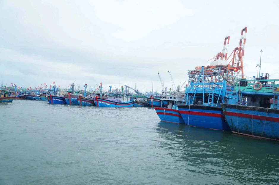 Ngư dân nỗ lực vượt khó Ngư dân nỗ lực vượt khó