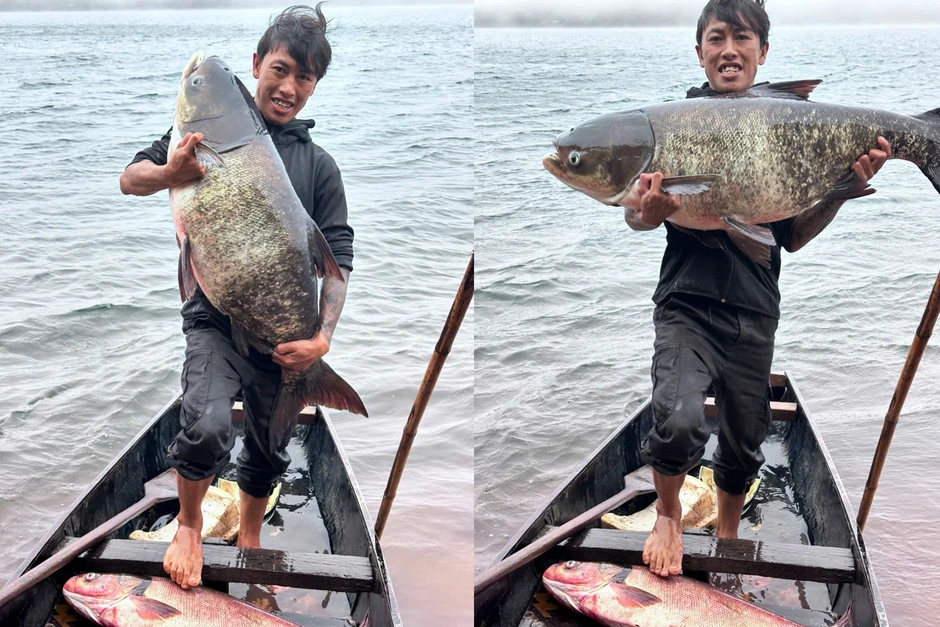 Người dân bắt được "thủy quái" nặng hơn 25kg ở Biển Hồ Người dân bắt được "thủy quái" nặng hơn 25kg ở Biển Hồ