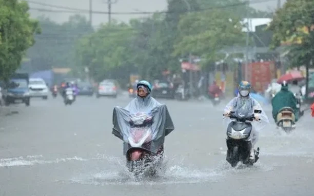 Người dân có phải đổi bằng lái xe khi quy định mới có hiệu lực từ ngày 1/7? Người dân có phải đổi bằng lái xe khi quy định mới có hiệu lực từ ngày 1/7?