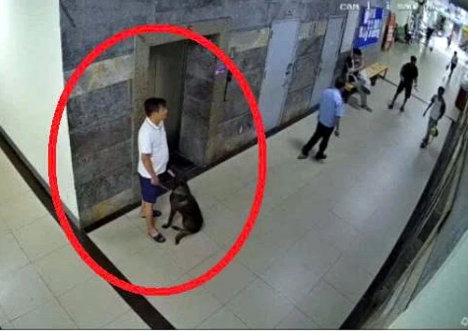 Người đàn ông kể phút bị hành hung vì nhắc chó không đeo rọ mõm tại chung cư Người đàn ông kể phút bị hành hung vì nhắc chó không đeo rọ mõm tại chung cư