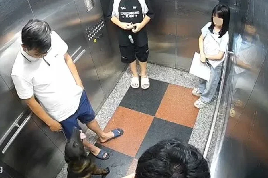 Người đàn ông kể phút bị hành hung vì nhắc chó không đeo rọ mõm tại chung cư Người đàn ông kể phút bị hành hung vì nhắc chó không đeo rọ mõm tại chung cư