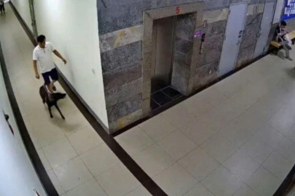 Người đàn ông kể phút bị hành hung vì nhắc chó không đeo rọ mõm tại chung cư Người đàn ông kể phút bị hành hung vì nhắc chó không đeo rọ mõm tại chung cư