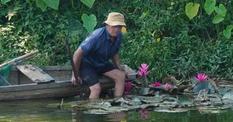 Người đàn ông nhổ trộm hoa súng ở khu vực di tích Kinh thành Huế