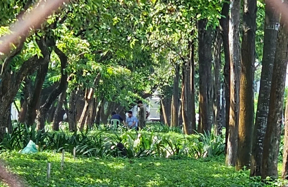 Người đàn ông tử vong bất thường trên bãi cỏ gần hầm chui ở TPHCM
