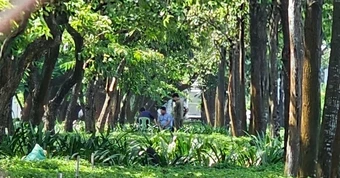 Người đàn ông tử vong bất thường trên bãi cỏ gần hầm chui ở TPHCM