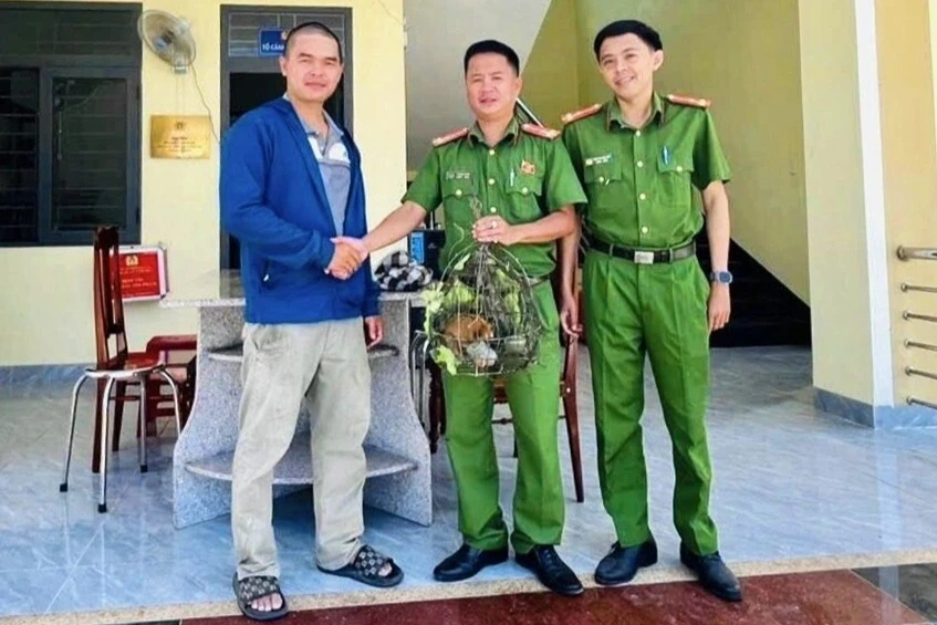 Người dân phát hiện động vật lạ bám trên dây diện Người dân phát hiện động vật lạ bám trên dây diện