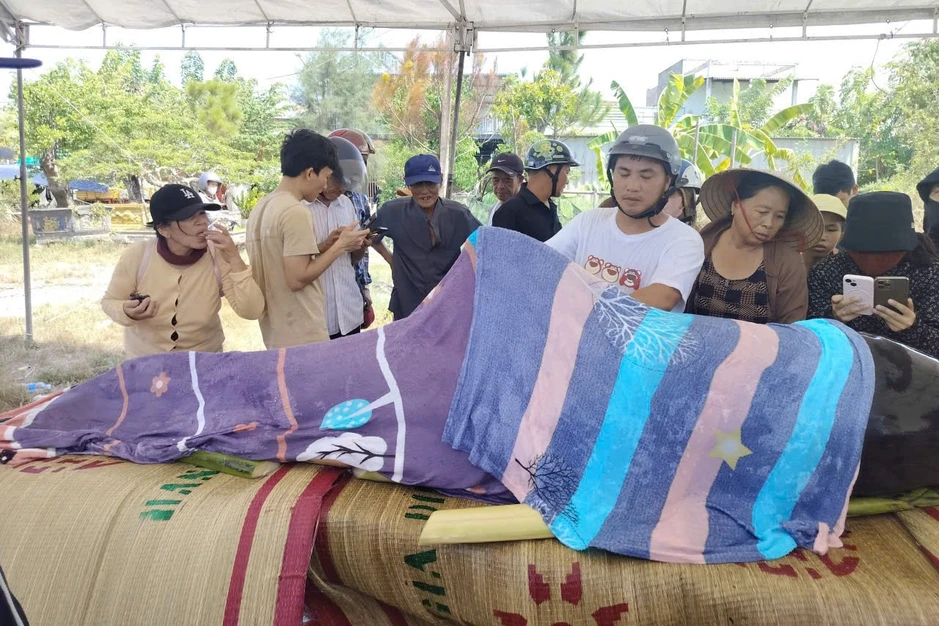 Người dân phủ khăn, tưới nước cho cá heo 300kg bị dạt vào bờ Người dân phủ khăn, tưới nước cho cá heo 300kg bị dạt vào bờ