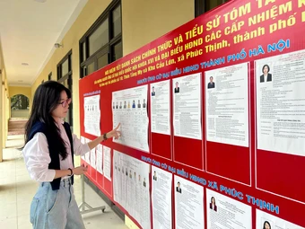 Người dân Thủ đô phấn khởi hướng về ngày hội non sông
