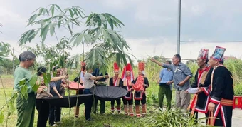 Người Dao giữ rừng bằng nghi lễ cổ